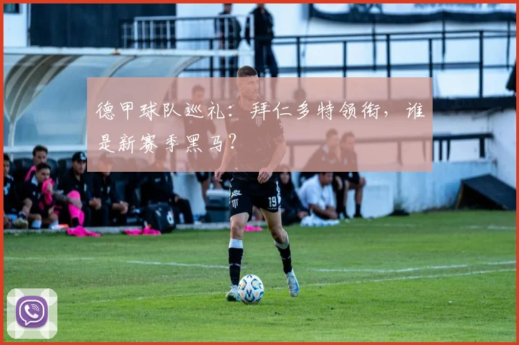 德甲球队巡礼：拜仁多特领衔，谁是新赛季黑马？